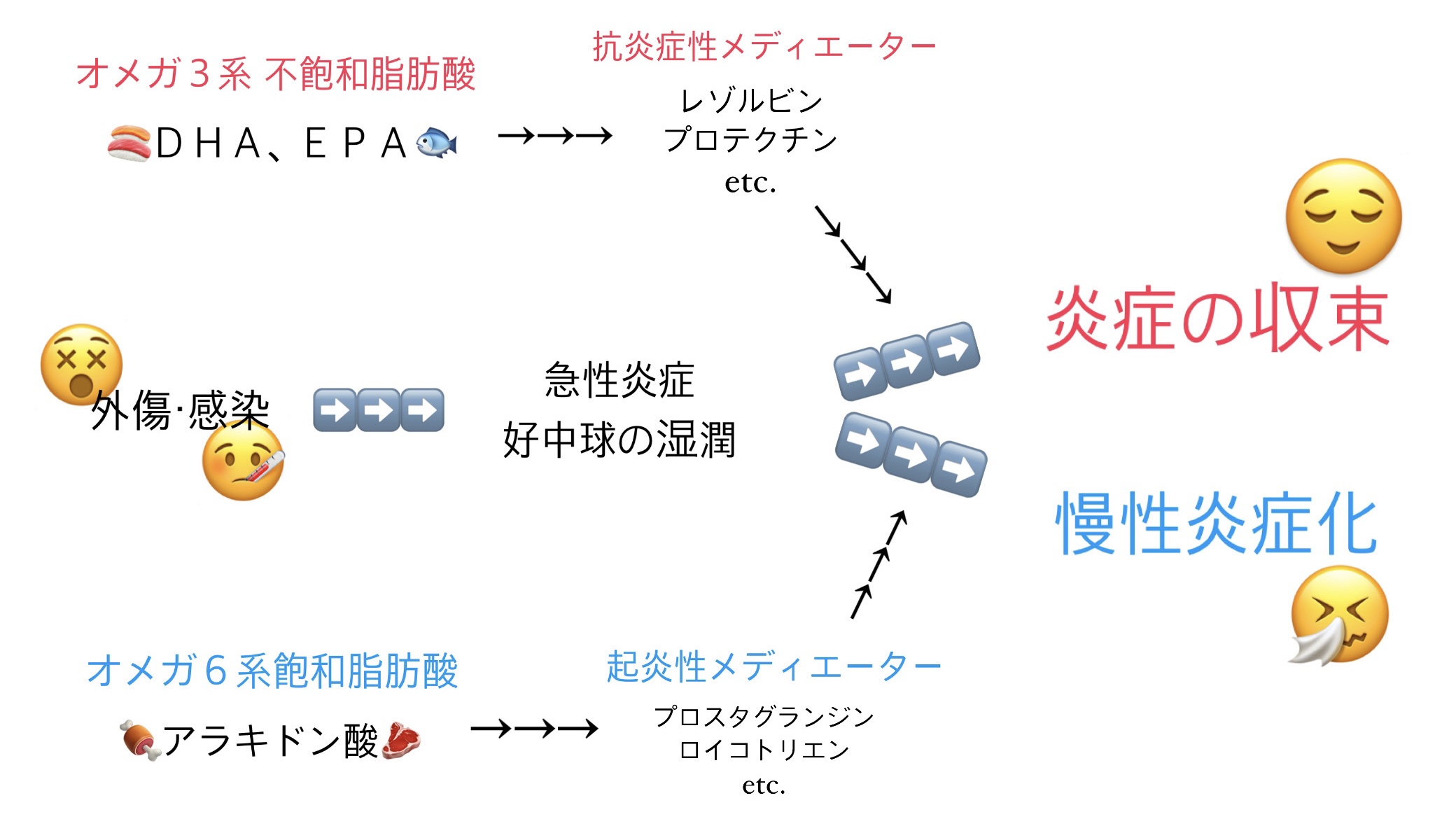 慢性炎症と脂質 – KazutoSaito